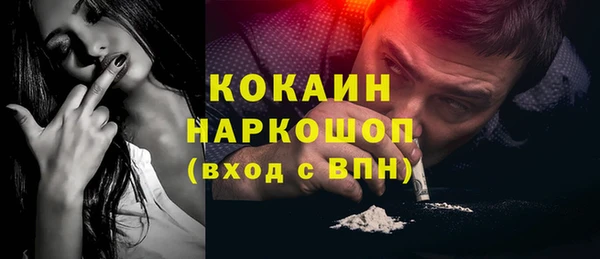 шишки Армянск