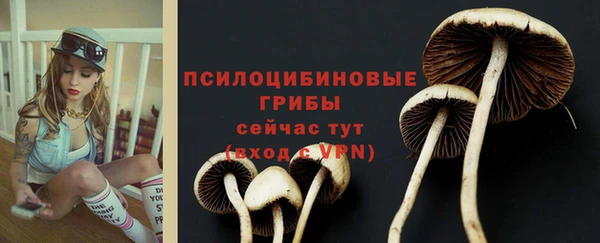 шишки Армянск