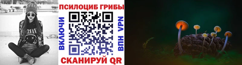 Псилоцибиновые грибы Cubensis  дарк нет официальный сайт  Дегтярск 