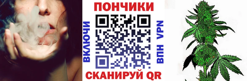 Шишки марихуана планчик  наркота  Дегтярск 